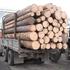 В Алтайском крае пресечен незаконный вывоз лесоматериалов в Казахстан 