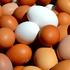 14,5 млн яиц  куриных из Алтайского края экспортировано в Монголию под контролем Управления Россельхознадзора