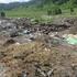 Управлением Россельхознадзора выявлена несанкционированная свалка в Майминском районе Республики Алтай